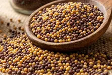 Gujarat to begin procurement of chickpea and mustard at MSP