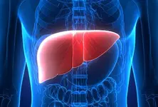 Lower protein intake may slow liver tumour growth, study finds