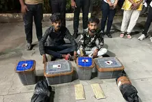 ANTF busts illegal marijuana trafficking racket in Gandhinagar, 2 held with 12 kg ganja worth ₹6 lakh