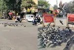 Pigeons killed, accident risks rise in Surat over roadside feeding