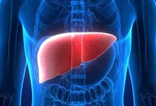 Avoid alcohol and stay fit to keep liver healthy, says expert