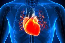 Chinese man survives 40 hours without heartbeat with ECMO machine