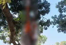 Couple dies by suicide in Chiloda village near Gandhinagar