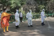 H5N1 bird flu confirmed in peacock deaths in Tumakuru district in Karnataka