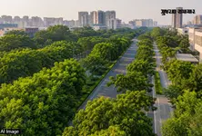 IIT Gandhinagar study calls for ‘smart greening’ to tackle rising urban heat