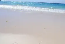Bermuda’s pink sand beaches hide a massive secret deep beneath the earth