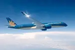 Indian doctor alleges humiliation by Vietnam airline staff over business class travel