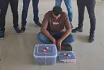 Ahmedabad SOG seizes hybrid ganja worth ₹69 lakh from man driving Mercedes-Benz