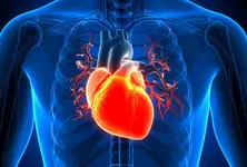 Common food preservatives may increase risk of high blood pressure, heart disease: study