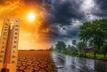 Western disturbance to bring rain  in Gujarat; IMD predicts thunderstorms in several districts