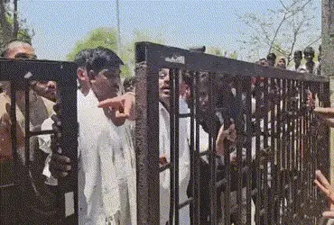 BJP wins Chhotaudepur Taluka Panchayat election amid kidnapping allegations