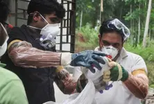 Kerala on alert after Nipah case detected in Kozhikode, patient kept in isolation