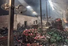 Gujarat recorded highest number of factory accident deaths in India, alleges Congress