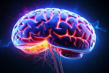 Brain can keep improving even in your 90s, new study finds