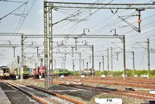 Mehsana-Delhi milk transit time drops to 7 hrs with Vadodara's dedicated freight corrior
