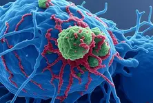 Higher intake of processed foods with preservatives may raise risk of cancer