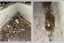 Over 100 liquor bottles found on Gujarat University campus, inquiry panel formed