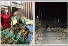 Banaskantha man recovers swiftly after rabies-like behaviour, doctors seek answers