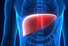 Fatty liver affects nearly 4 in 10 adults in India, finds study published in Lancet
