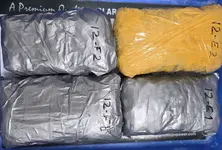 Customs seize hydroponic marijuana worth ₹1.65 cr from Air India flight at Surat airport