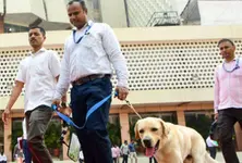 Nagpur man arrested for planting fake bomb in Pune hospital over ₹7 lakh bill dispute